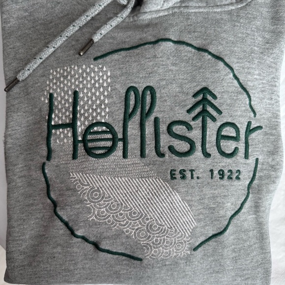 Hollister Gray Hoodie with Embroidered Graphic in Dk‎ Green Stitching, Small - Picture 4 of 15